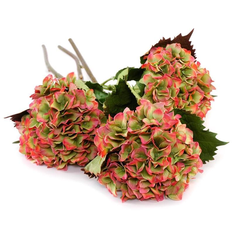 Hydrangea Flower Stem - New Growth Designs