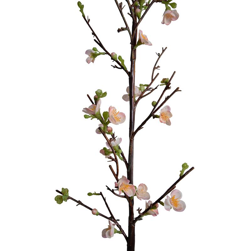 Quince Spray, Peach