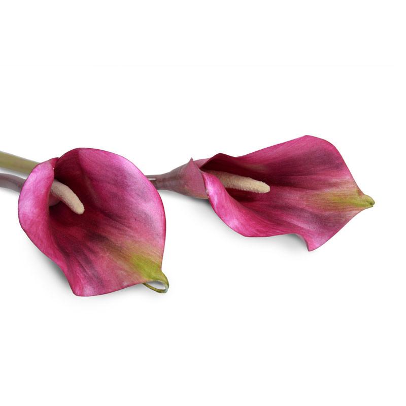 Calla Lily Stem, Burgundy 30" - New Growth Designs