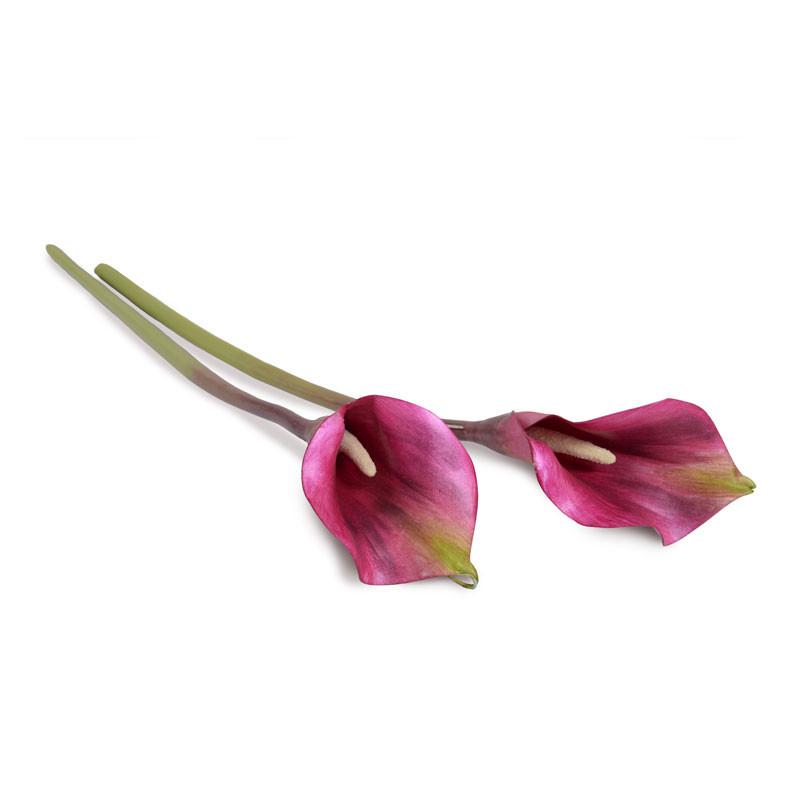Calla Lily Stem, Burgundy 30" - New Growth Designs