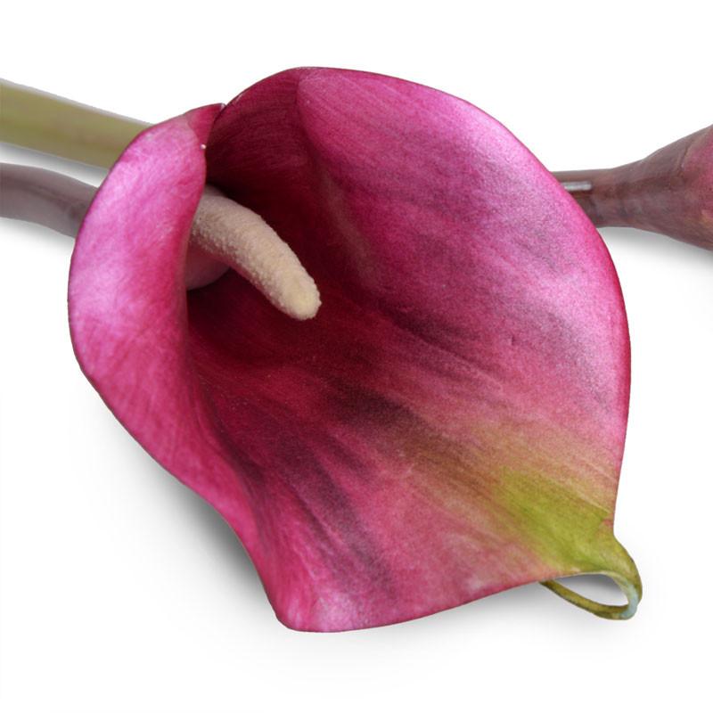 Calla Lily Stem, Burgundy 30" - New Growth Designs