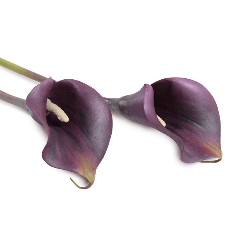 Calla Lily Stem, Aubergine 30" - New Growth Designs