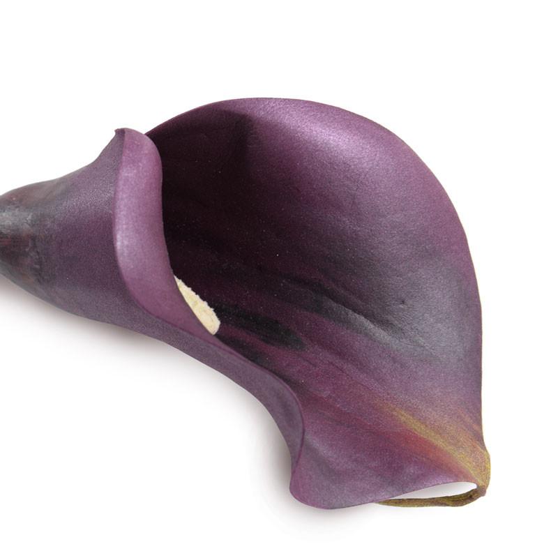 Calla Lily Stem, Aubergine 30" - New Growth Designs