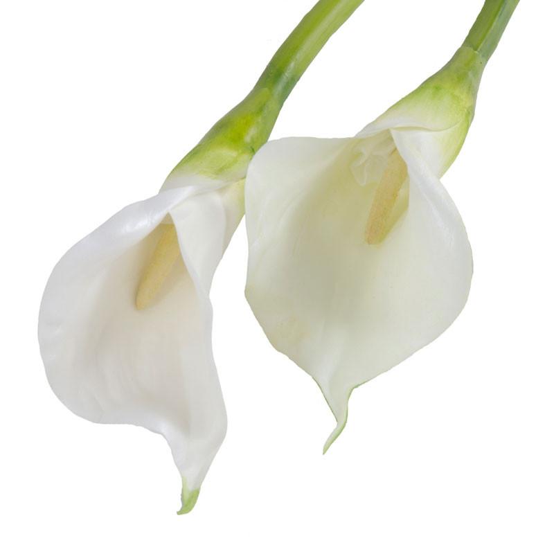 Calla Lily Stem, White 30" - New Growth Designs