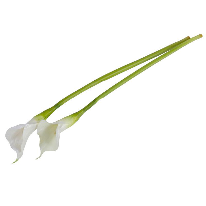 Calla Lily Stem, White 30" - New Growth Designs