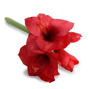 Amaryllis Stem - New Growth Designs