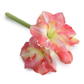Amaryllis Stem - New Growth Designs