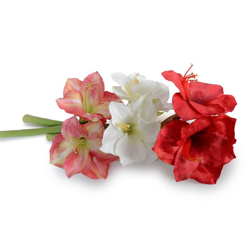 Amaryllis Stem - New Growth Designs