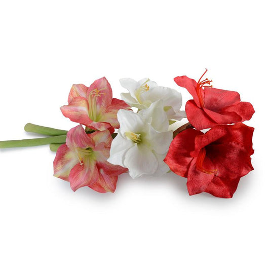 Amaryllis Stem - New Growth Designs