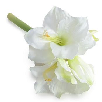 Amaryllis Stem - New Growth Designs
