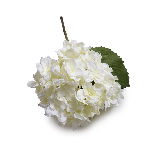 Hydrangea Flower Stem