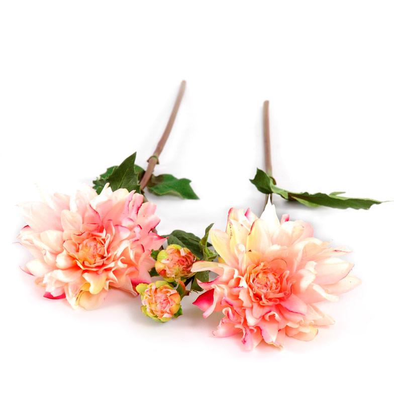 Dahlia Flower Stem - New Growth Designs