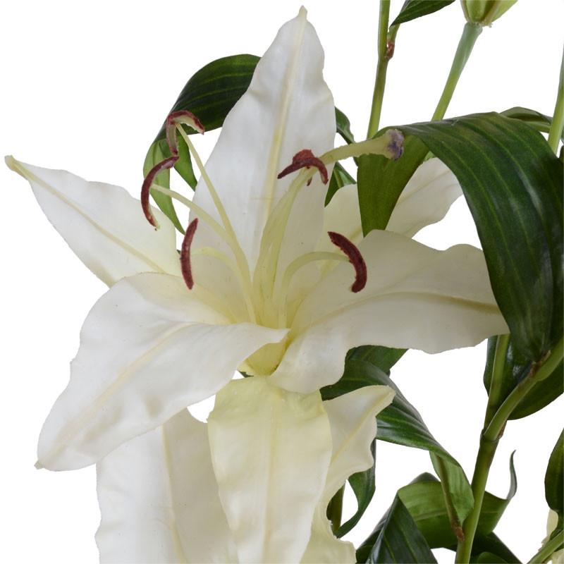 Casa Blanca Lily Spray - New Growth Designs