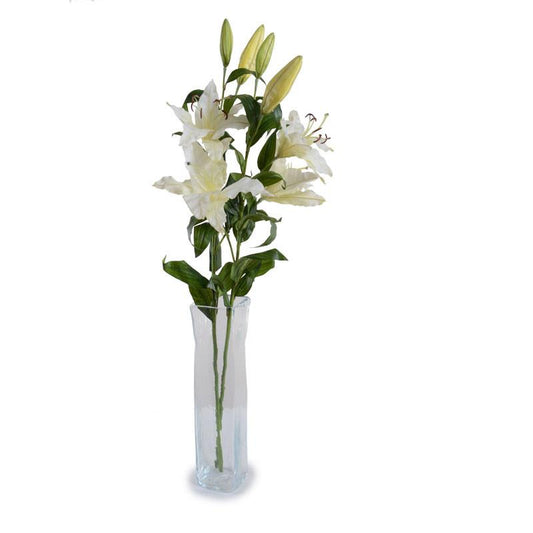 Casa Blanca Lily Spray - New Growth Designs