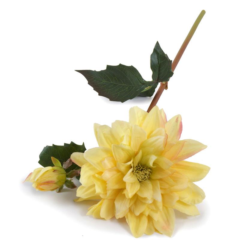 Dahlia Flower Stem - New Growth Designs