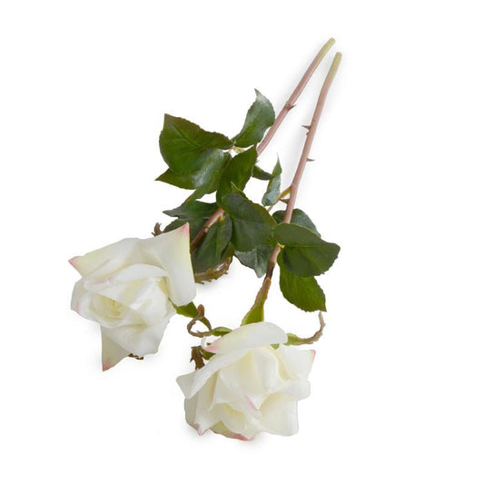 Rose Stem, White