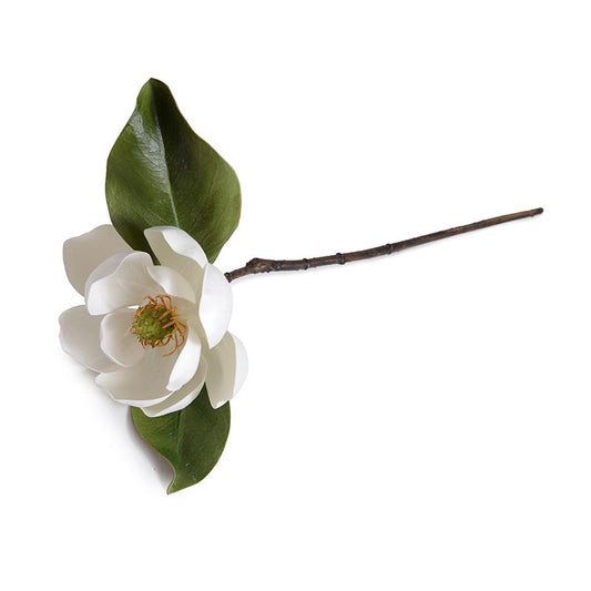 Blooming Magnolia Flower Branch, 22"L