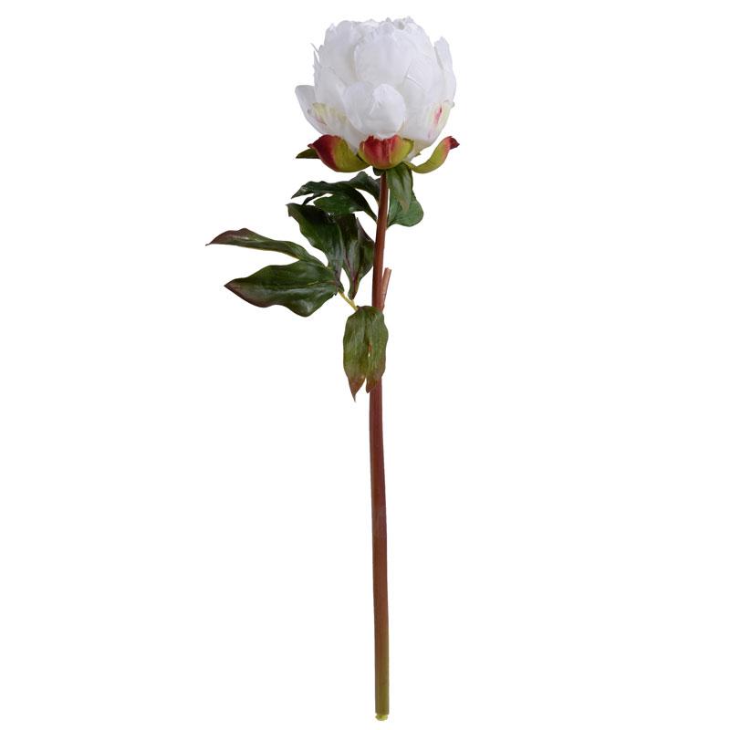 Peony Stem, Large