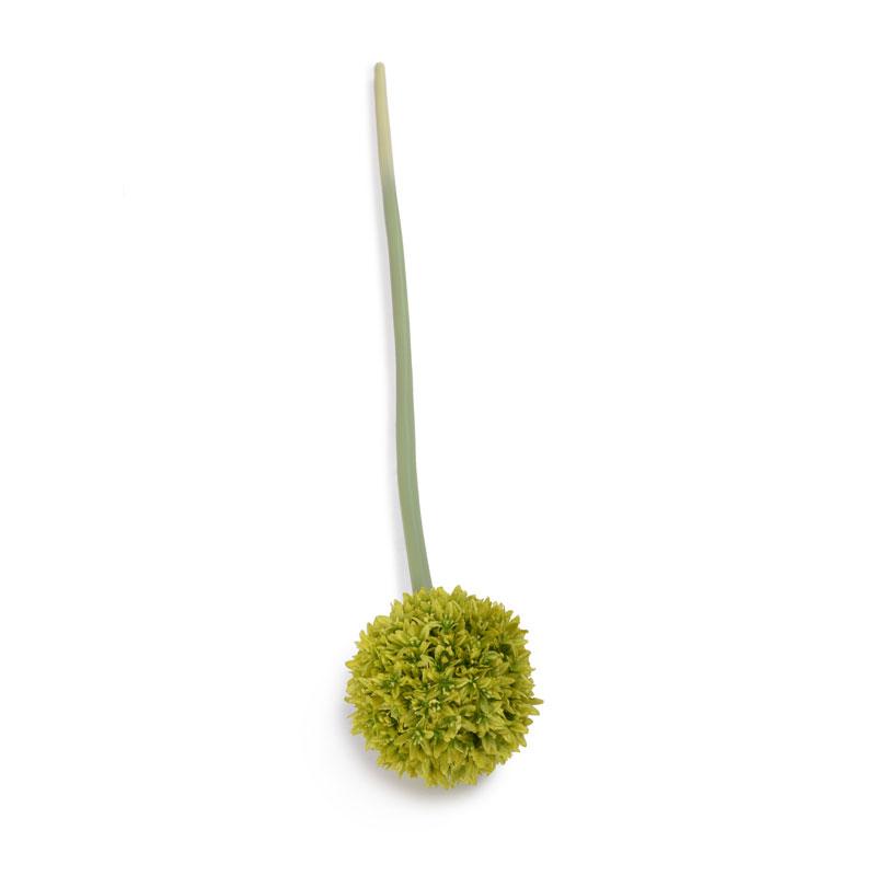 Allium Flower Stem, 4" diameter - New Growth Designs