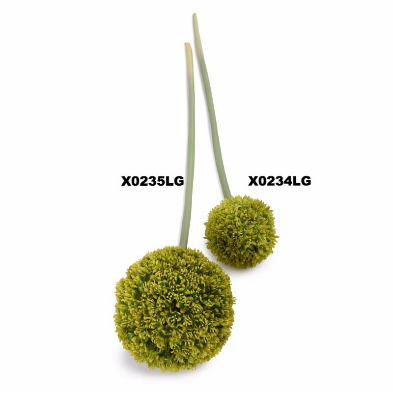 Allium Flower Stem, 5.5" diameter - New Growth Designs