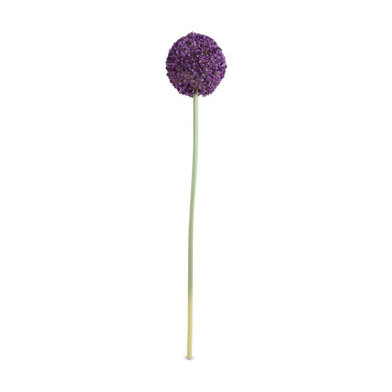 Allium Flower Stem, 4" diameter - New Growth Designs