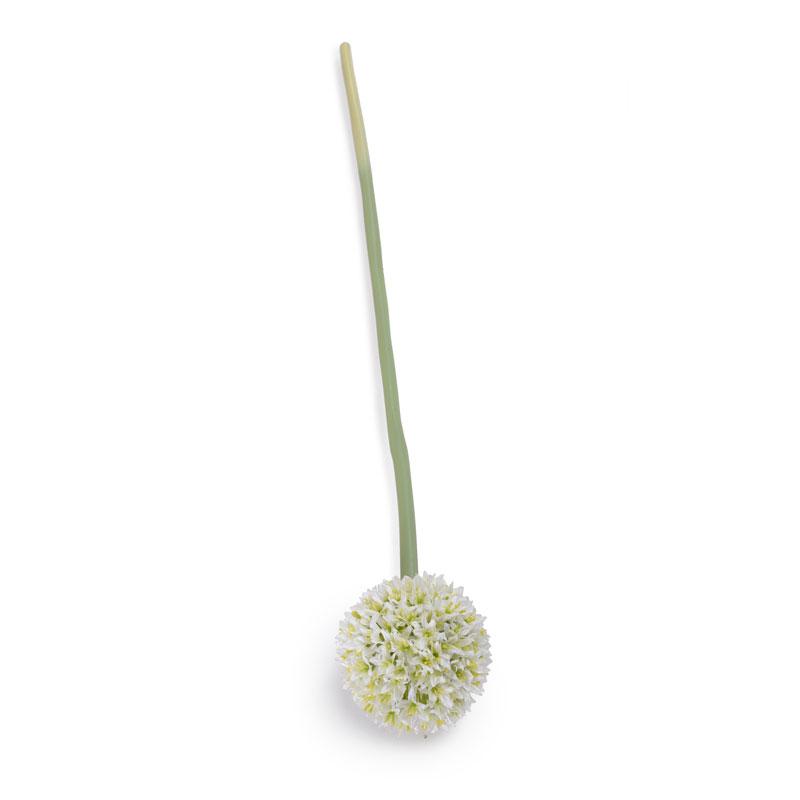 Allium Flower Stem, 4" diameter - New Growth Designs