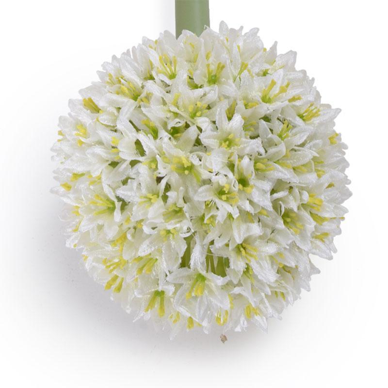 Allium - New Growth Designs