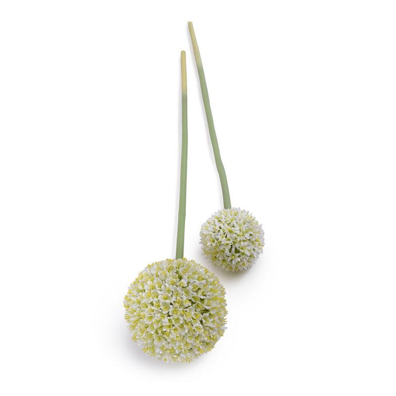 Allium Flower Stem, 5.5" diameter - New Growth Designs