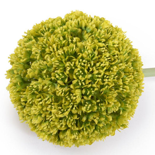 Allium Flower Stem, 5.5" diameter - New Growth Designs