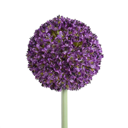 Allium Flower Stem, 5.5" diameter - New Growth Designs