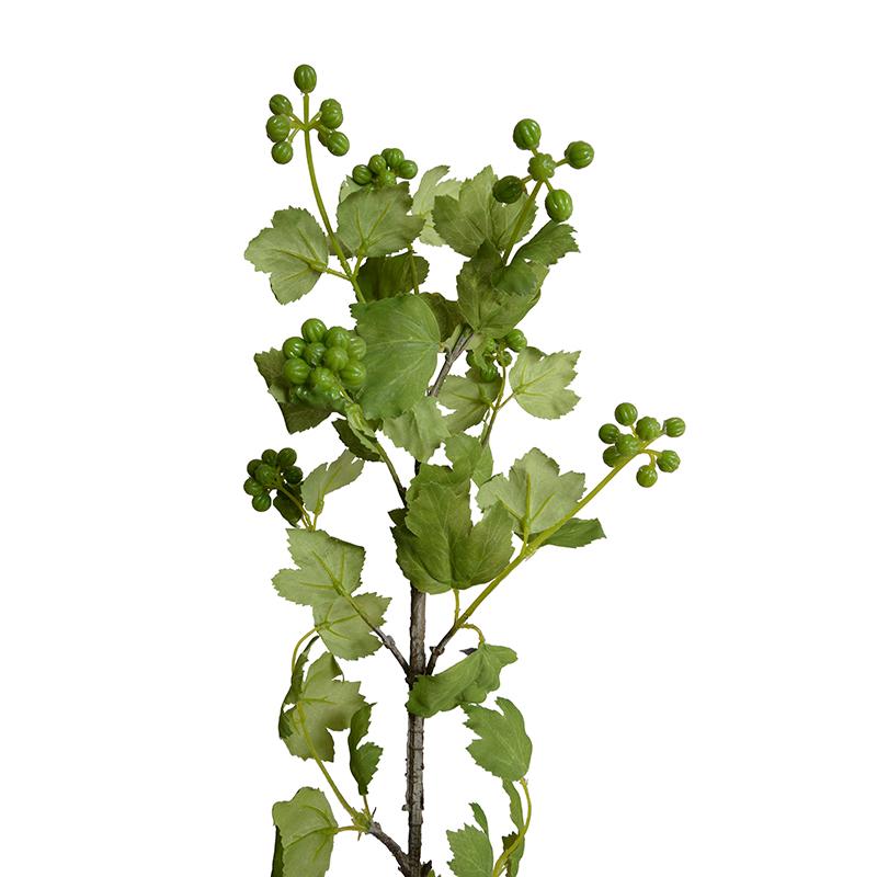 Viburnum Berry Branch