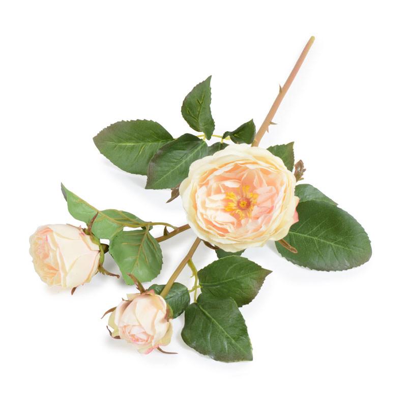 Rose Stem with Buds, Cream-blush