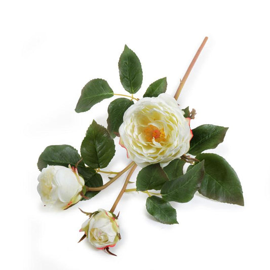 Rose Stem with Buds, White
