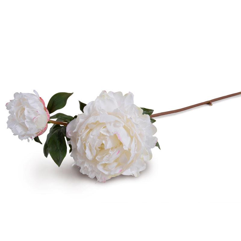 Peony Stem with Bud, Large