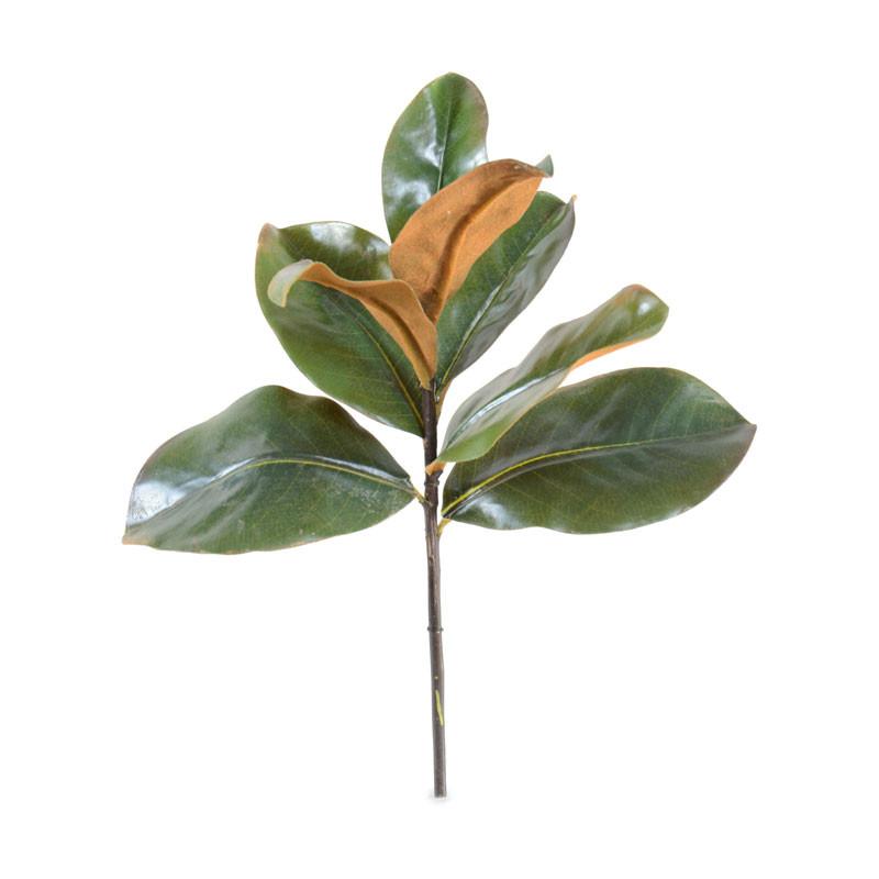 Magnolia Leaf Pick, 14"L