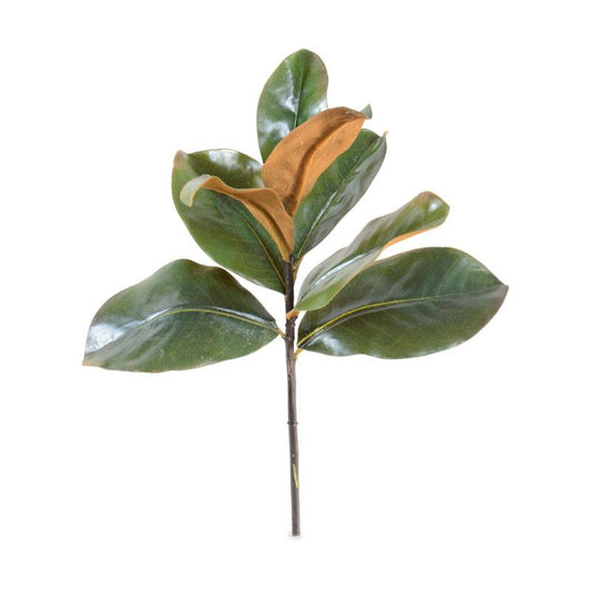 Magnolia Leaf Pick, 14"L