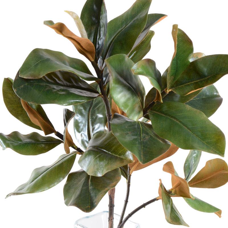 Magnolia Leaf Spray, 36"L