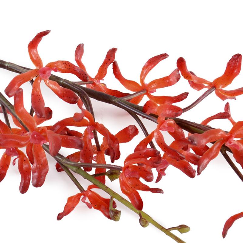 Aranda Orchid Spray, 32" - New Growth Designs