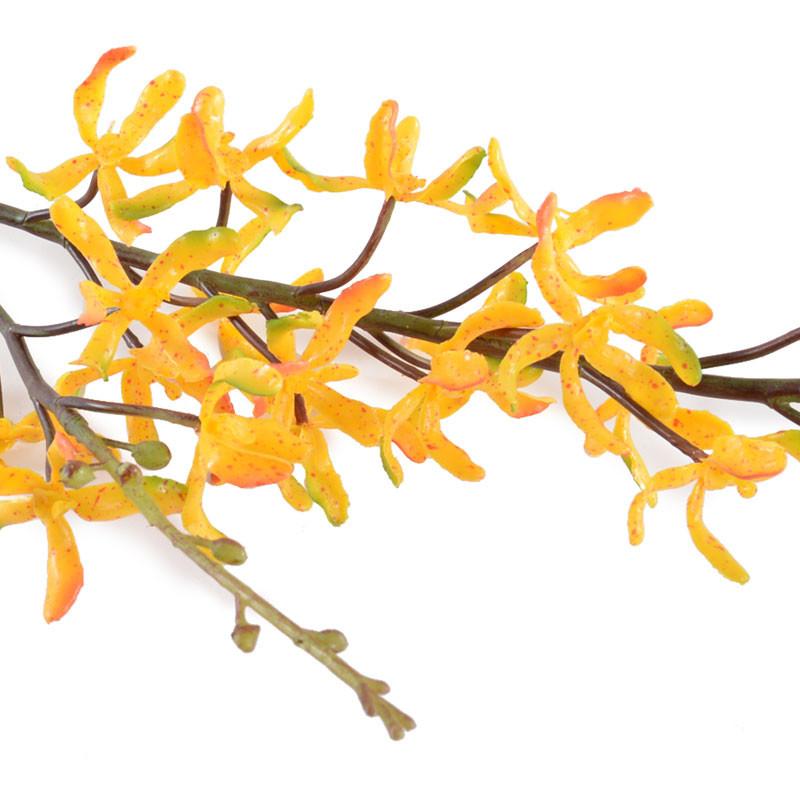 Aranda Orchid Spray, 32" - New Growth Designs