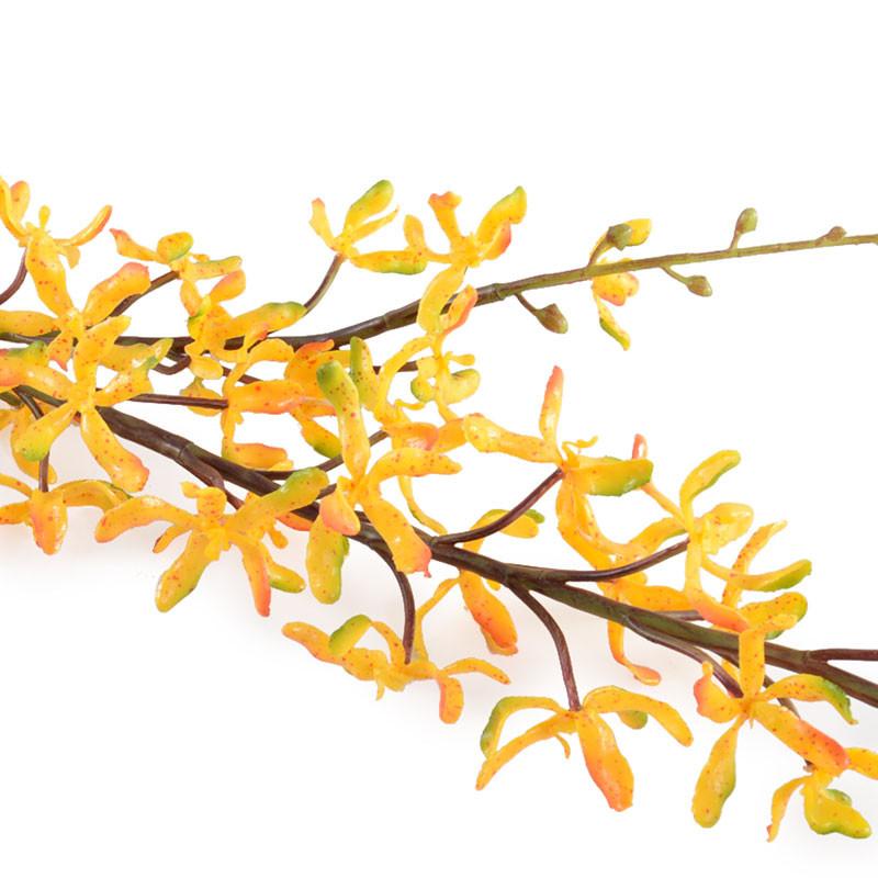 Aranda Orchid Spray, 40" - New Growth Designs