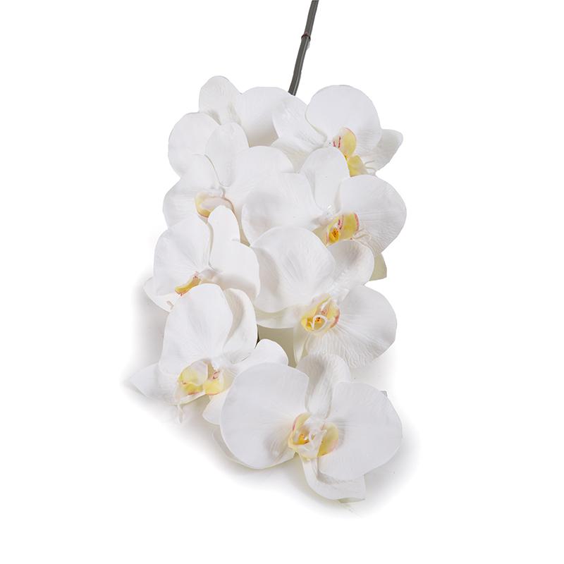 Phalaenopsis Orchid stem x 8, 37.5"L