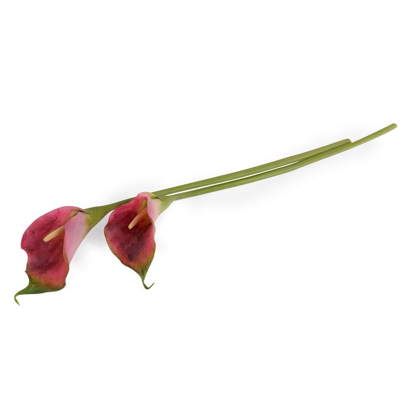 Calla Lily Stem, Burgundy-green 22" - New Growth Designs