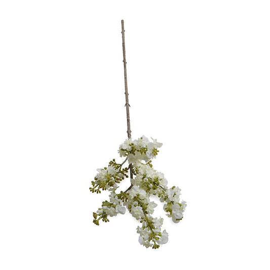 Lilac Branch, White