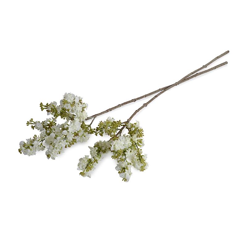 Lilac Branch, White