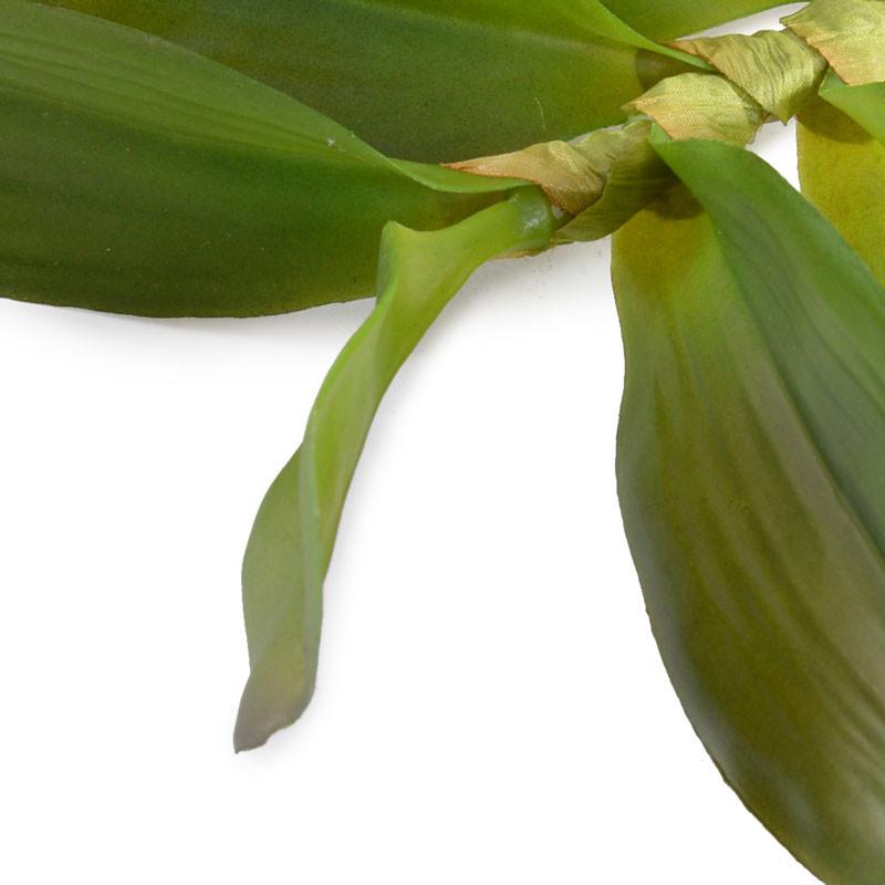 Aranda Orchid Leaf x6 - New Growth Designs