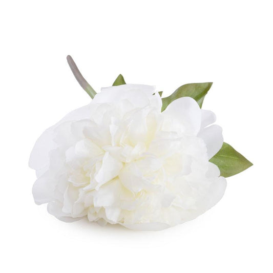 Peony Stem with Leaf