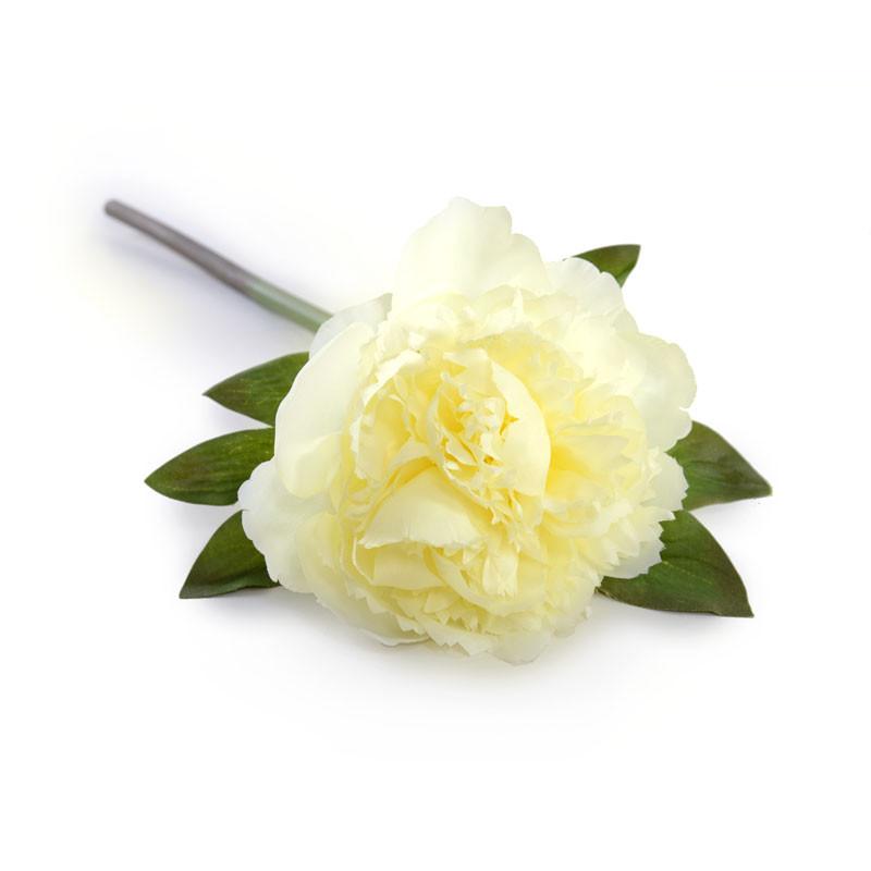 Peony Stem with Leaf