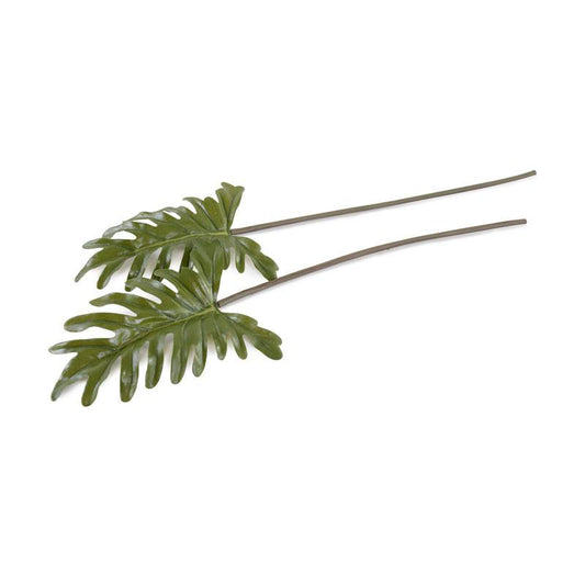 Philodendron Leaf Pick