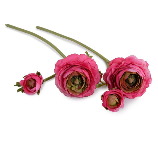 Ranunculus Flower Stem, Bright pink
