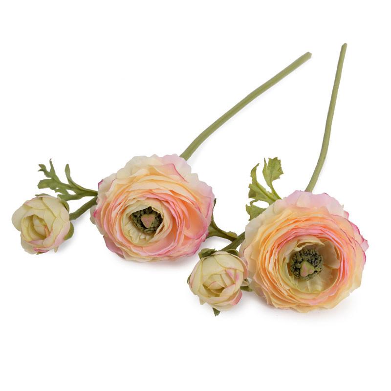 Ranunculus Flower Stem, Peach